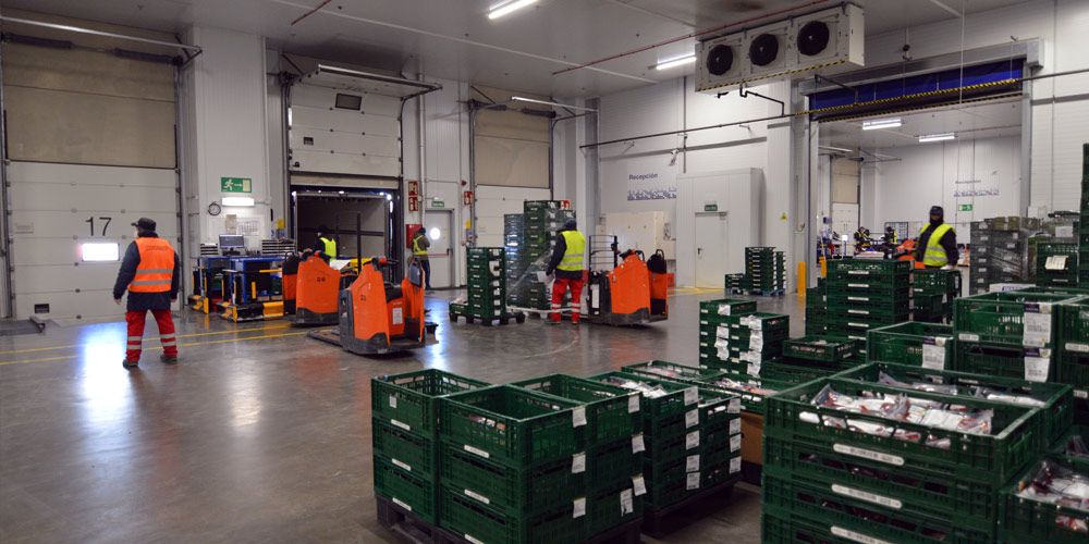 carga-camion-dock-almacen