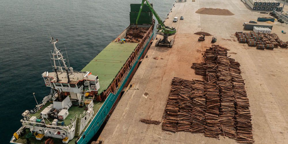 trafico troncos pino puerto cartagena