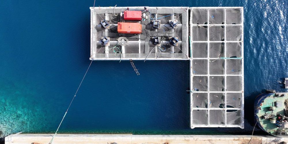 colocacion cajones ampliacion mulle naos puerto arrecife