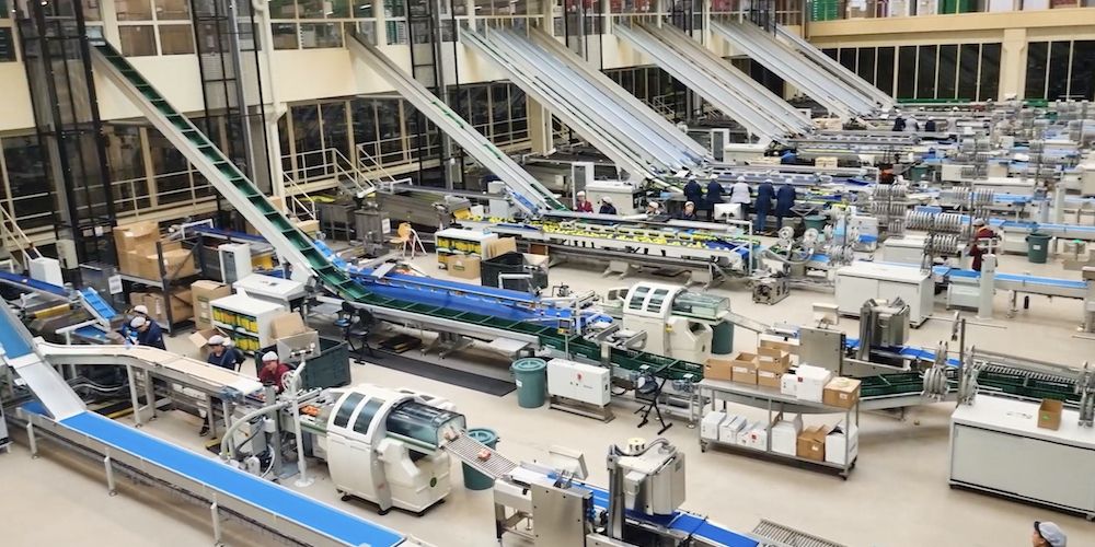 automatizacion procesos frutas y hortalizas CLS para Mivor automatizacion procesos frutas y hortalizas CLS para Mivor