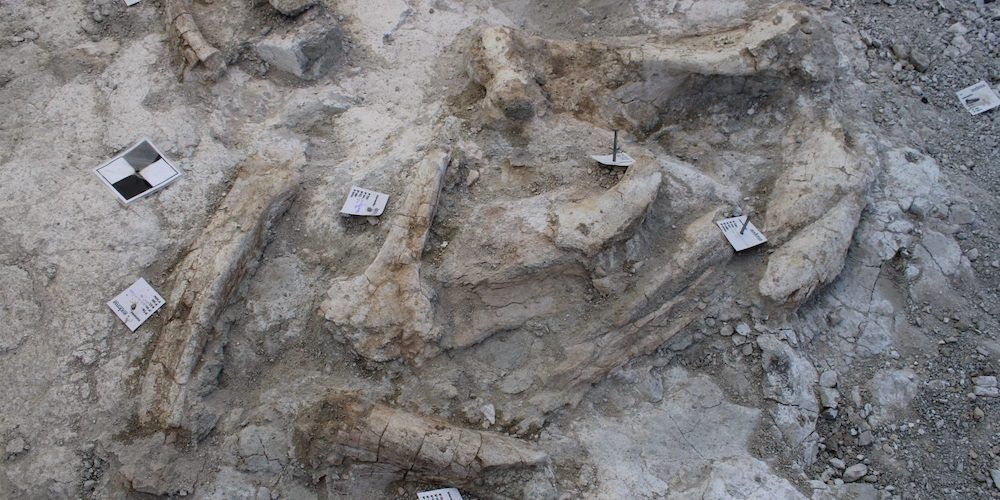 restos fosiles centro logisstico bomberos madrid