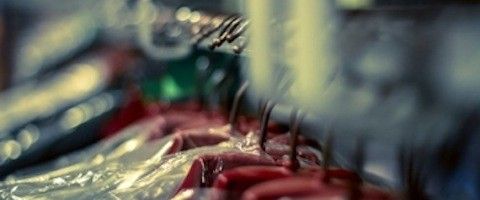 Logisfashion prenda colgada