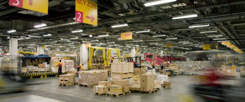 Las personas podrán realizar otras funciones relacionadas con la gestión, el análisis y la innovación.