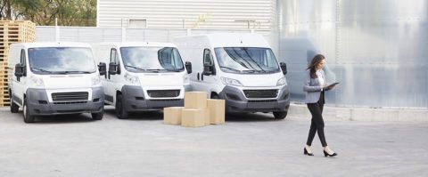 webfleet tomtom telematics gestion de flotas